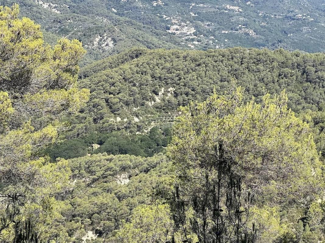 Maison à vendre, 445m², Nice