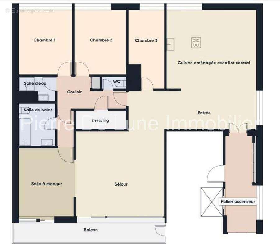 Appartement à vendre, 133m², Lyon 1er