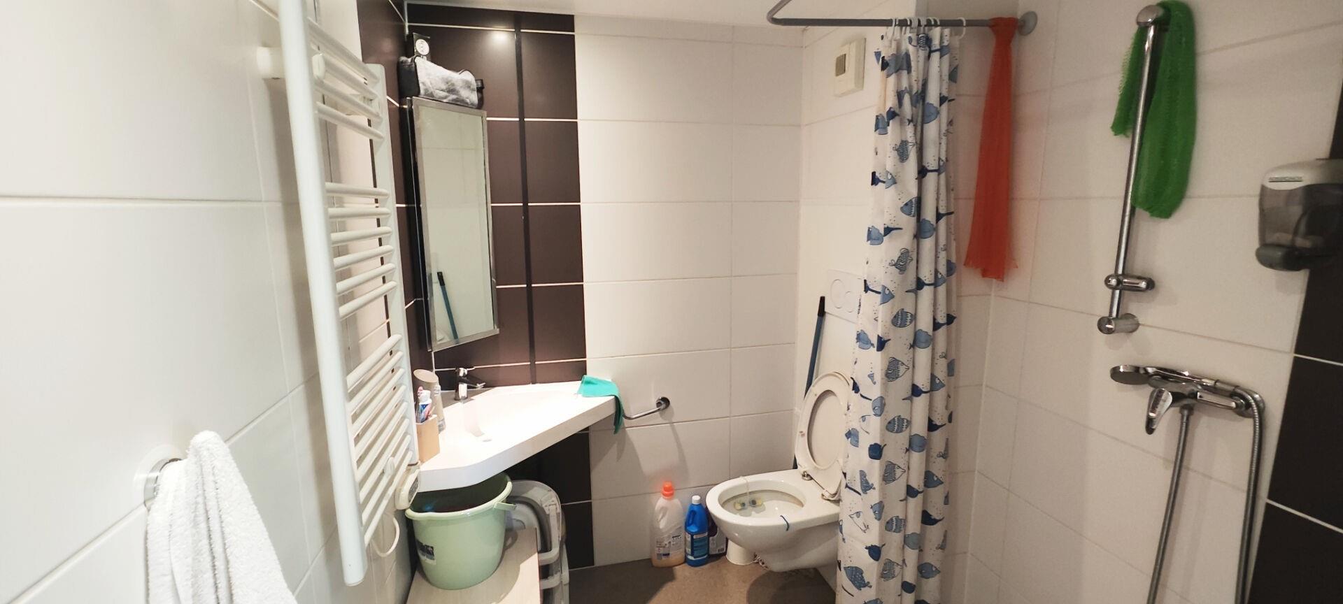 Appartement à vendre, 29m², Lyon 7ème