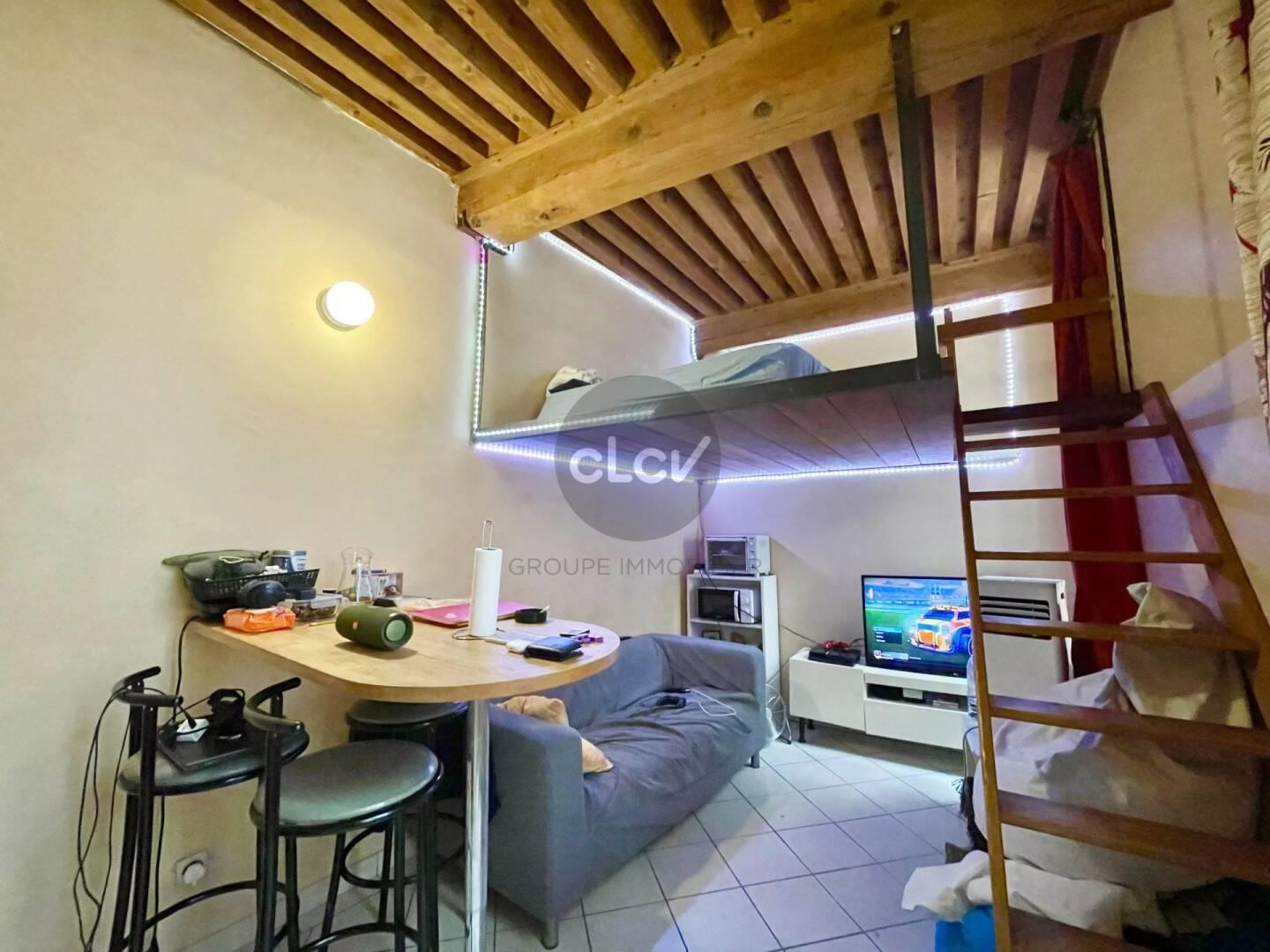 Appartement à vendre, 18m², Lyon 1er