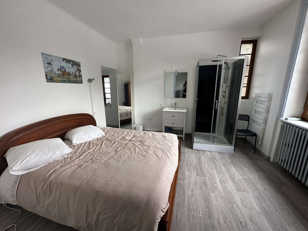 Maison à vendre, 300m², Monistrol-sur-Loire