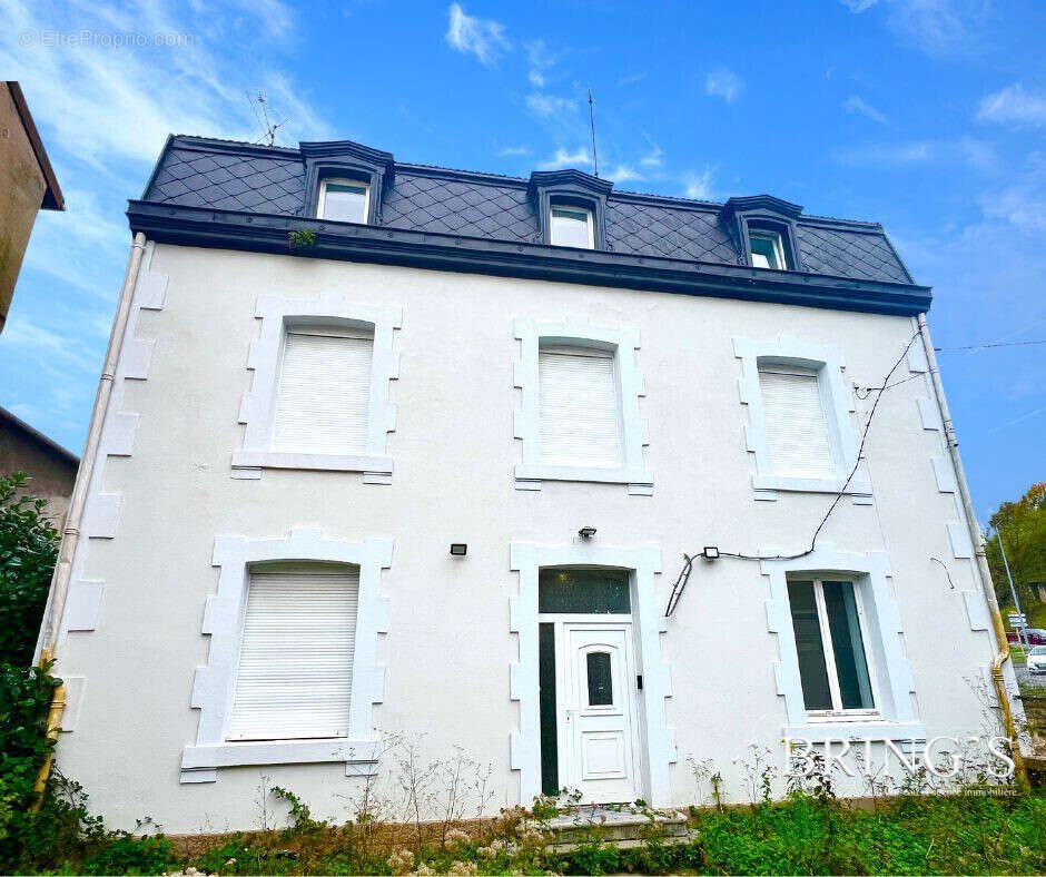 Appartement à vendre, 336m², Homécourt