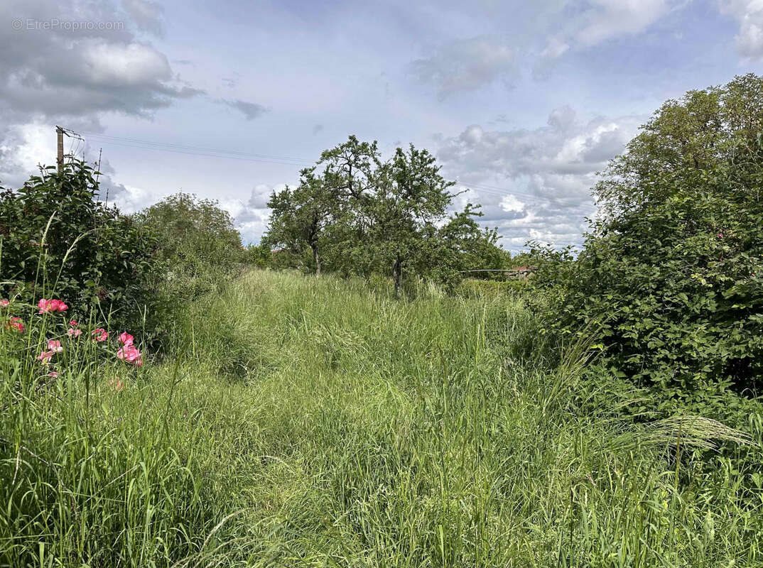 Maison à vendre, 100m², Biécourt