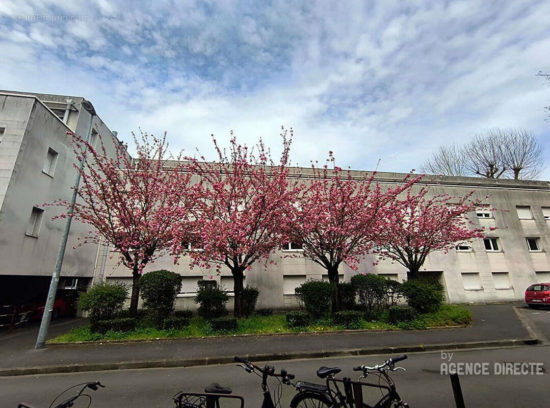 Appartement à vendre, 19m², Nantes