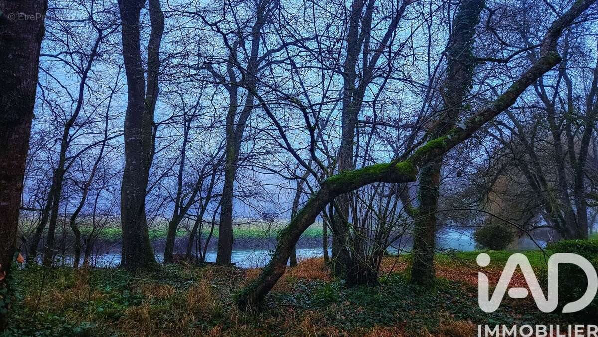 Maison à vendre, 290m², Lichères