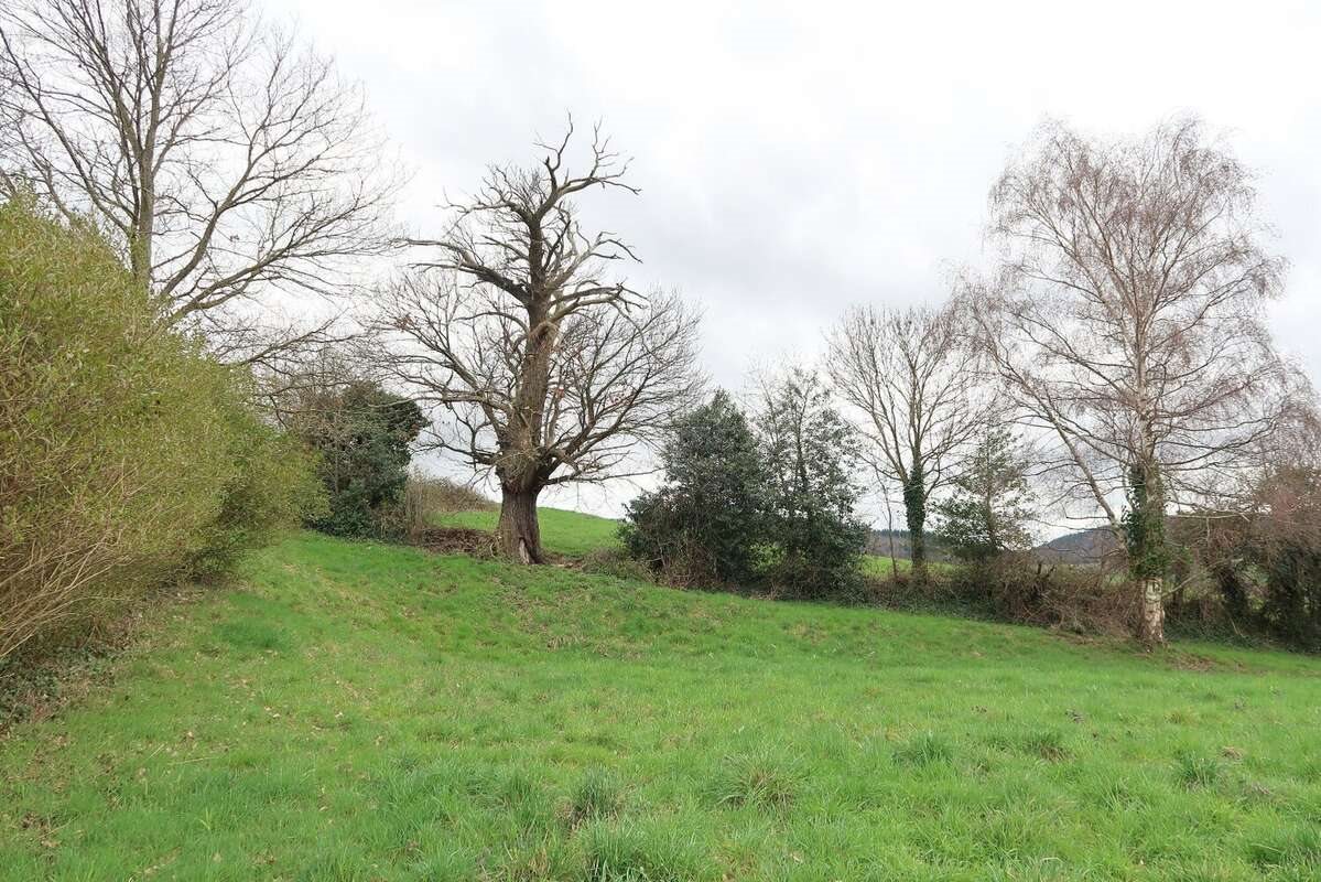 Maison à vendre, 1485m², Le Chambon-Feugerolles