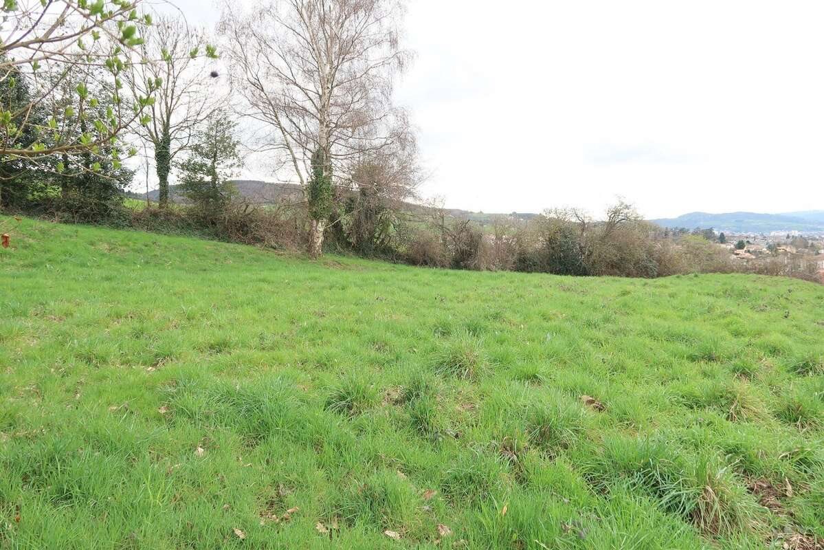 Maison à vendre, 1485m², Le Chambon-Feugerolles