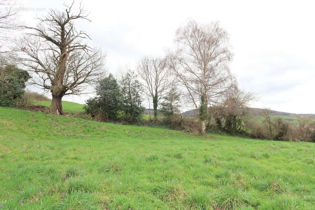 Maison à vendre, 1485m², Le Chambon-Feugerolles