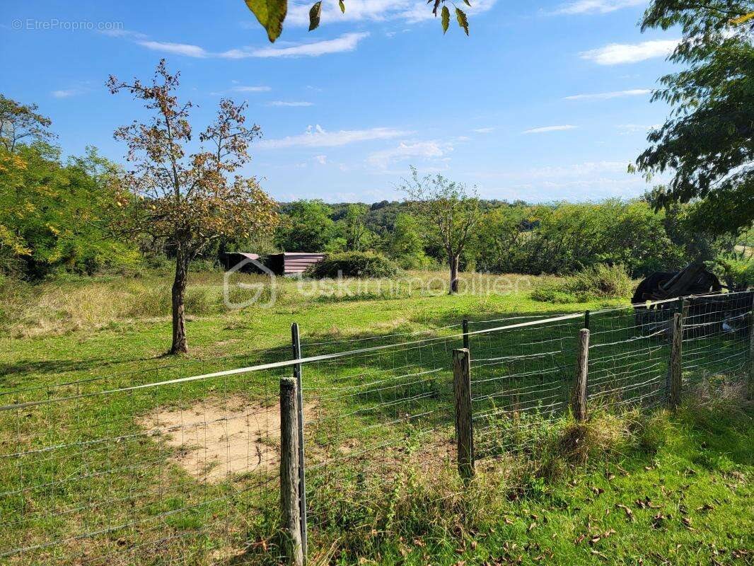 Maison à vendre, 450m², Nogaro