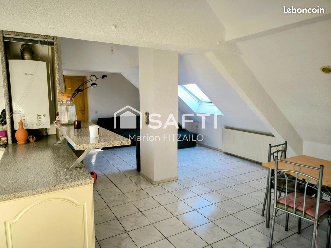 Appartement à vendre, 47m², Strasbourg