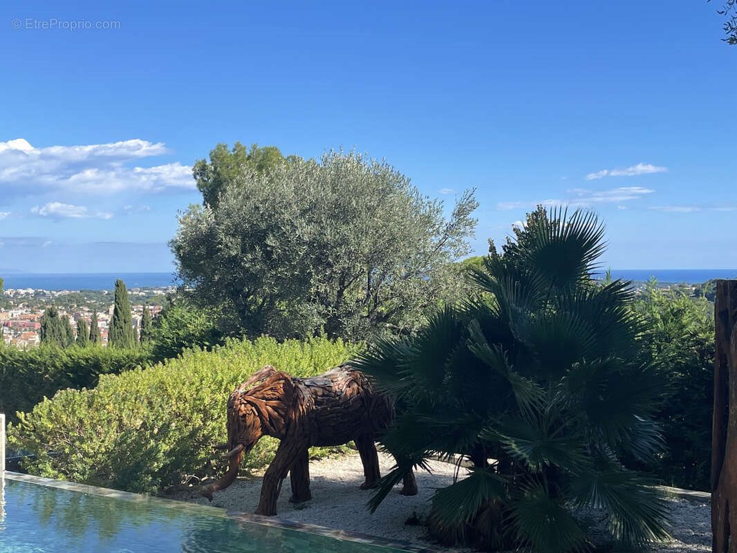 Maison à vendre, 240m², Cannes