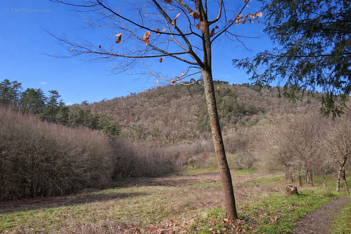 Maison à vendre, 114m², Saint-Chamant
