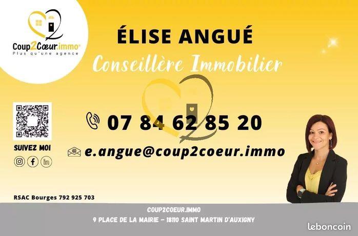 Appartement à vendre, 299m², Saint-Martin-d'Auxigny