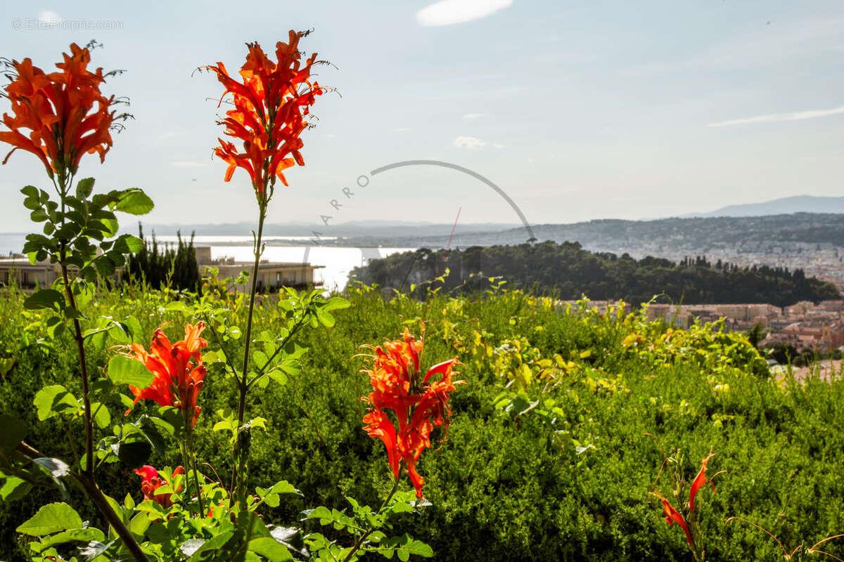 Maison à vendre, 164m², Nice