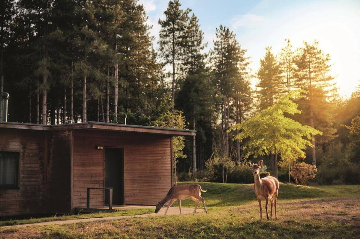 Appartement à vendre, 70m², Morton