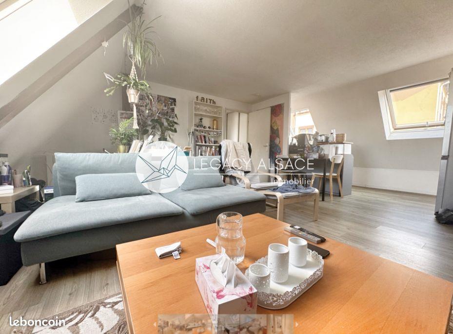 Appartement à vendre, 48m², Strasbourg