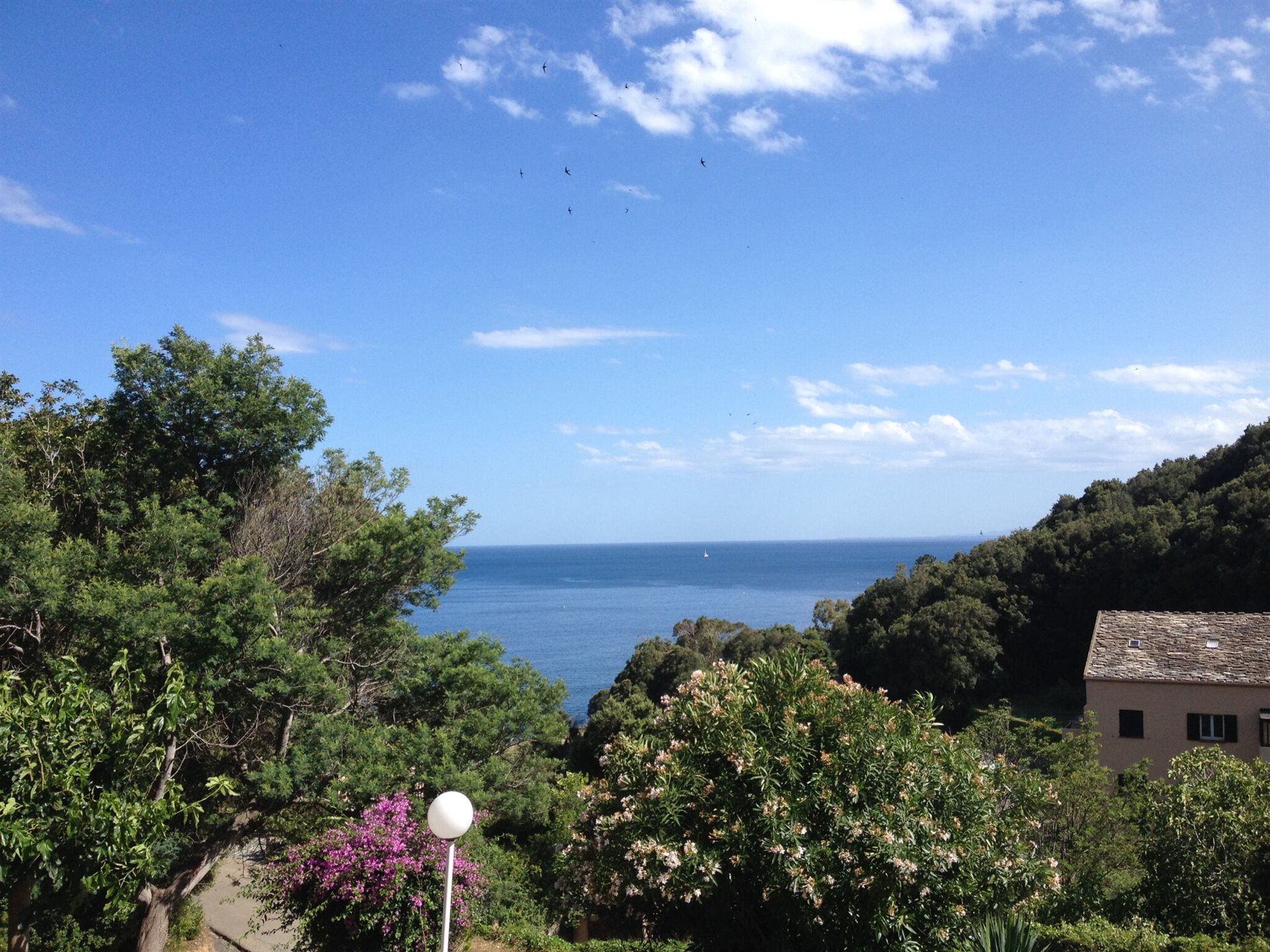 Appartement à louer, 47m², Brando