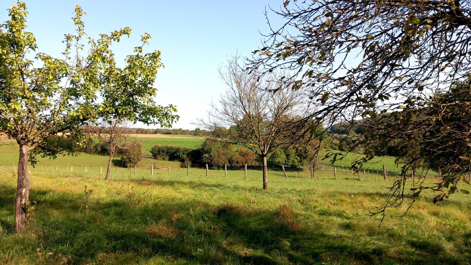 Maison à vendre, 258m², Langres