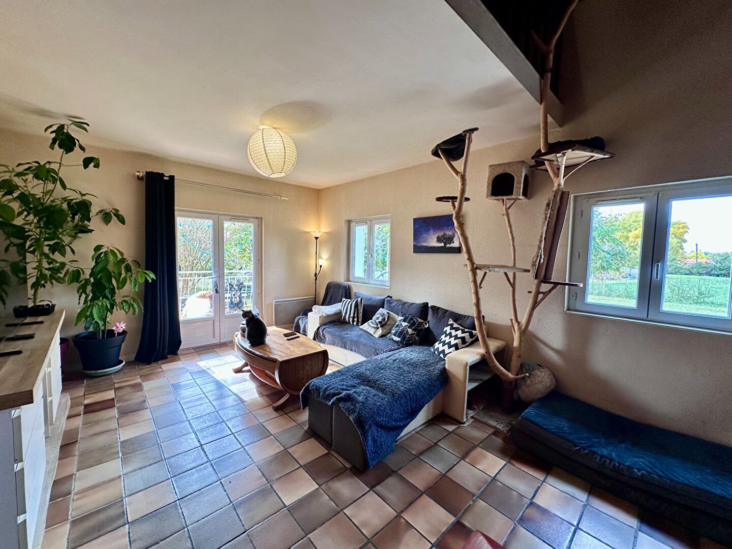 Maison à louer, 65m², Caussade