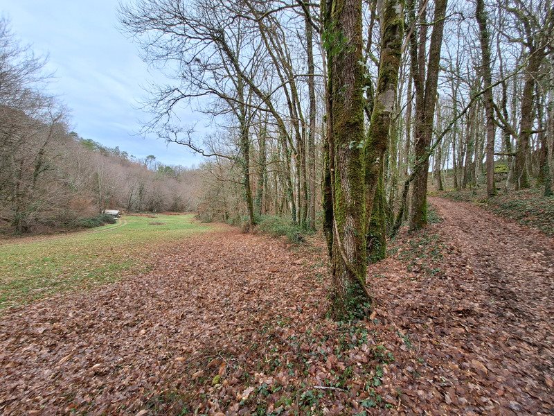 Maison à vendre, 238m², Saint-Geniès