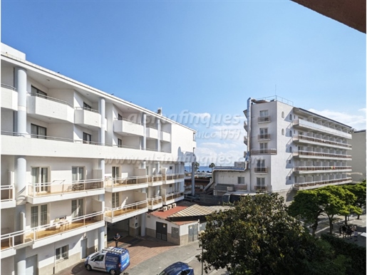 Purchase: Apartmá (17310)