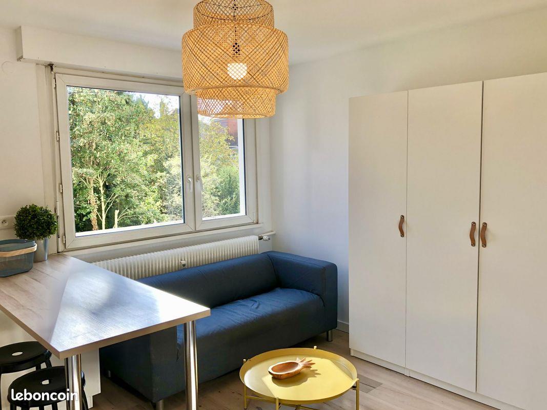 Appartement à vendre, 26m², Strasbourg
