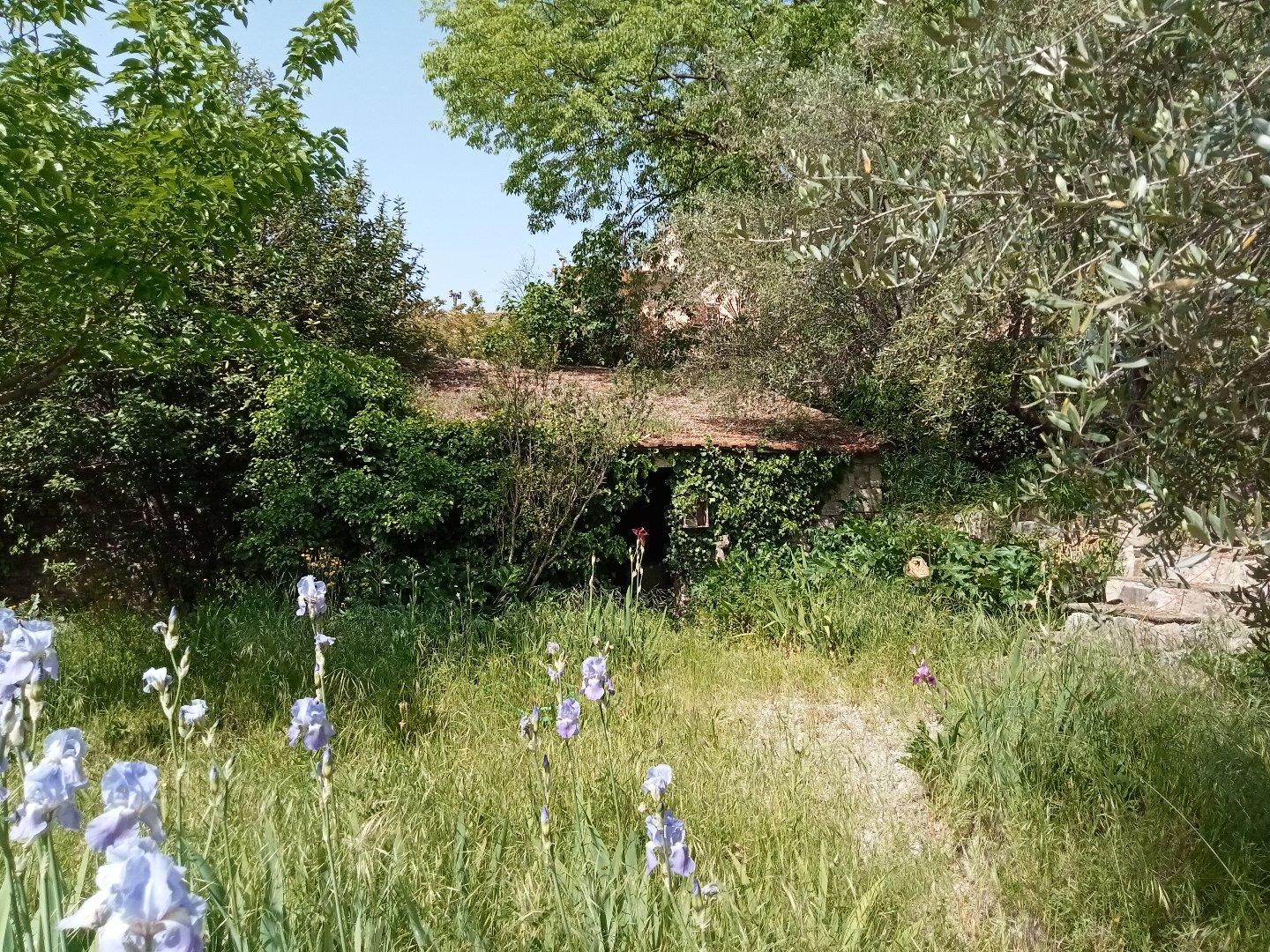 Maison vigneronne