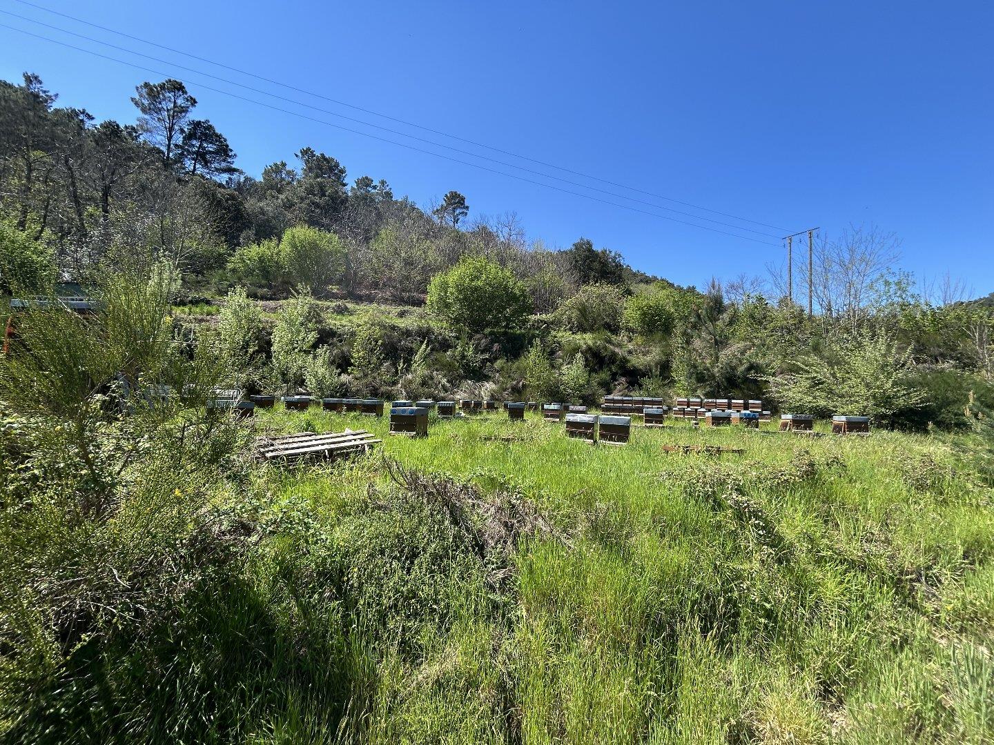 Farmhouse