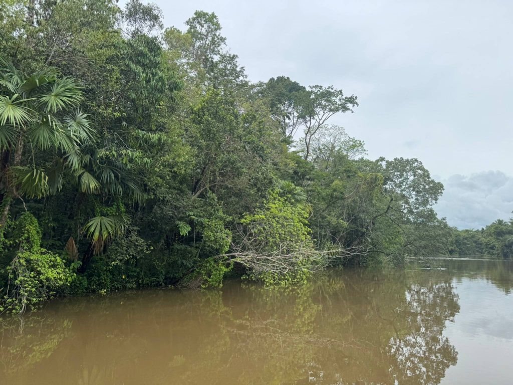 Land Available in Punta Gorda, Toledo District