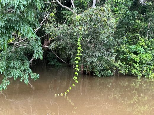 Land Available in Punta Gorda, Toledo District