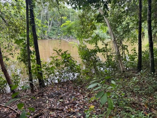 Land Available in Punta Gorda, Toledo District