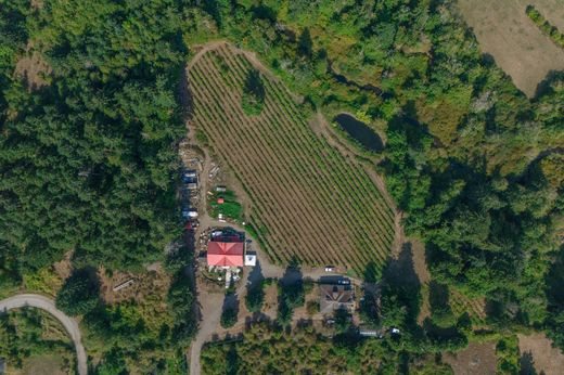 4 bedroom exclusive farmhouse for sale in Nanaimo, Canada