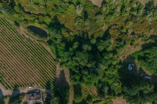 4 bedroom exclusive farmhouse for sale in Nanaimo, Canada