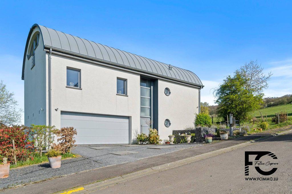 10 room luxury House for sale in Rouvroy, Belgium