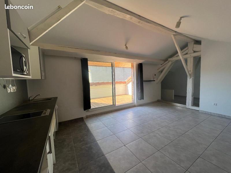 Appartement à louer, 52m², Saint-Etienne