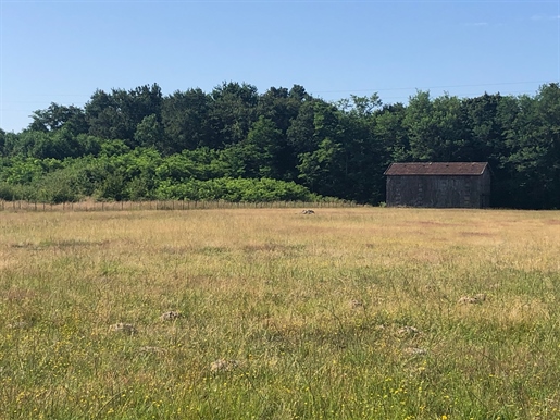 Terrains de plus de 2 hectares avec deux habitations possibles