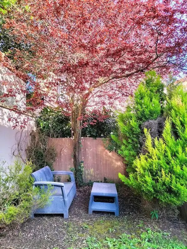 Maison à louer, 21m², Saint-Leu-la-Forêt