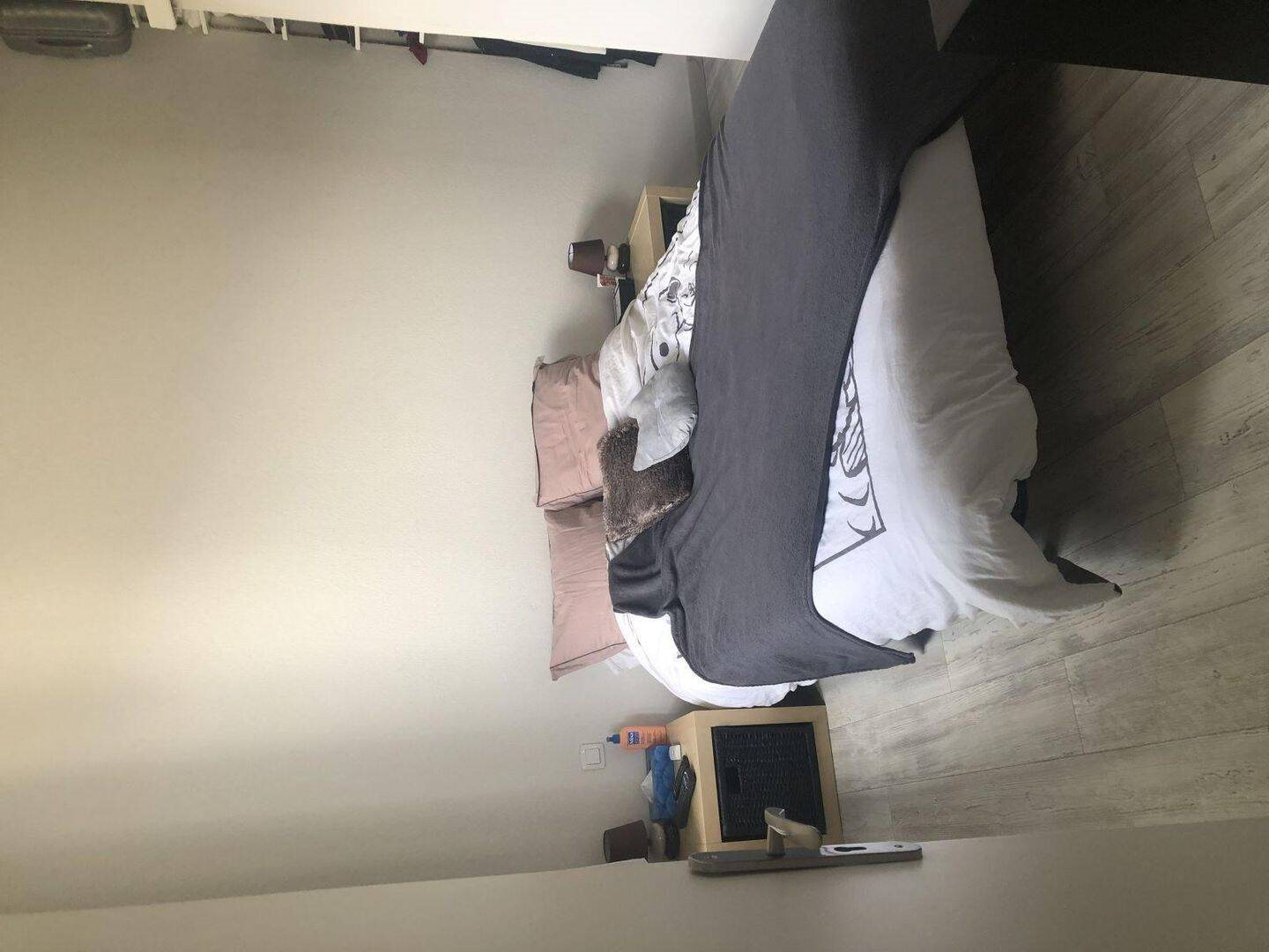 Appartement à louer, 32m², Saint-Ismier