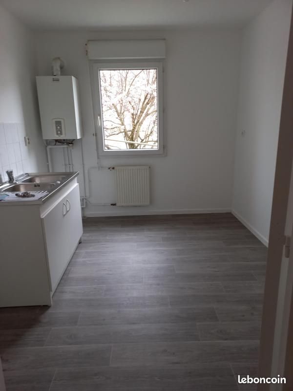 Appartement à louer, 50m², Les Roches-de-Condrieu
