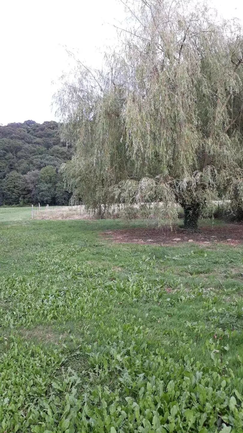 Maison à vendre, 200m², Castelnau-Magnoac