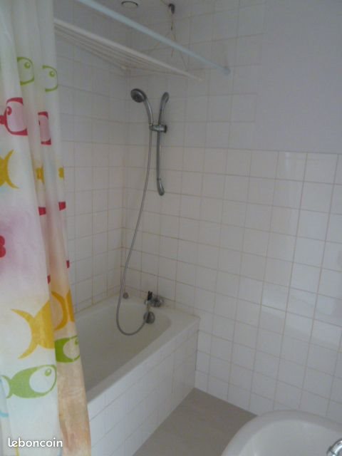 Appartement à louer, 40m², Château-Gontier