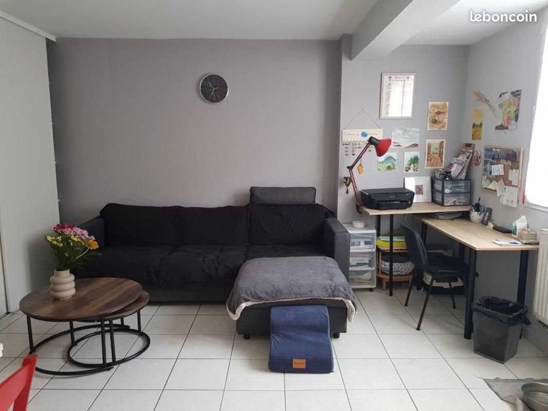 Appartement à louer, 37m², Firminy