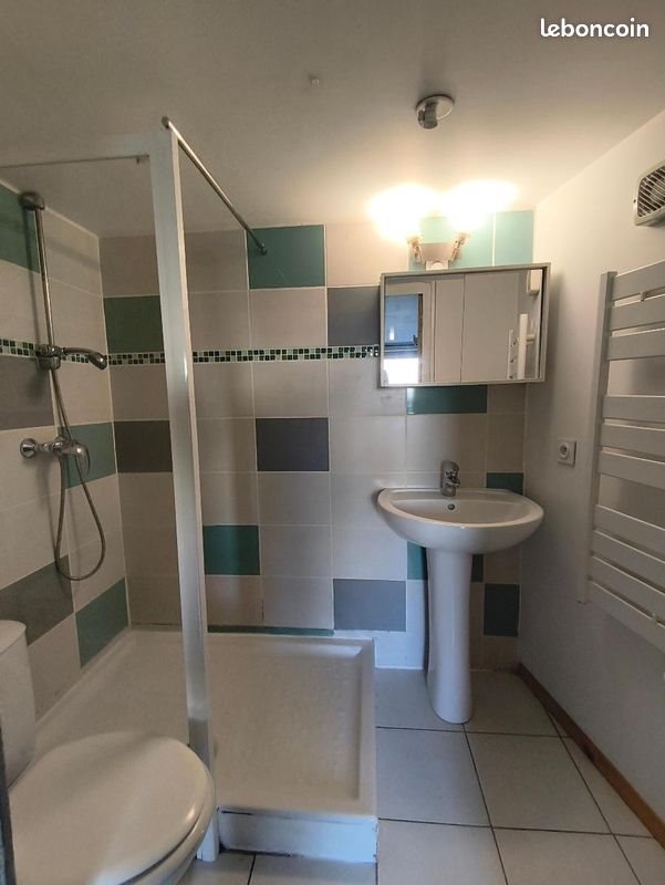 Appartement à louer, 35m², Saint-Etienne