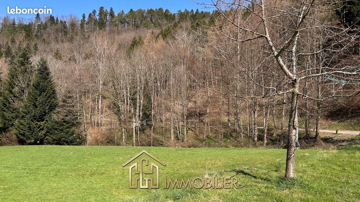 Maison à vendre, 210m², Sainte-Marie-aux-Mines