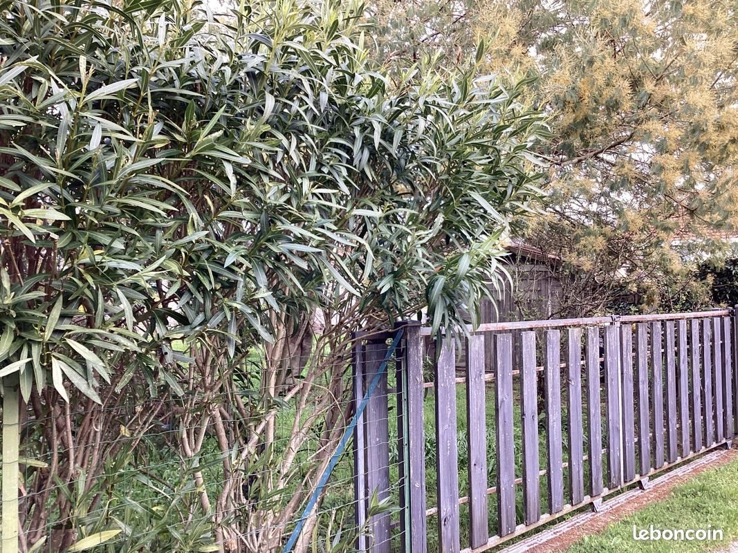 Maison à vendre, 40m², Le Verdon-sur-Mer