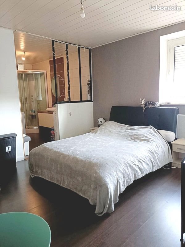 Appartement à vendre, 86m², Sarrebourg