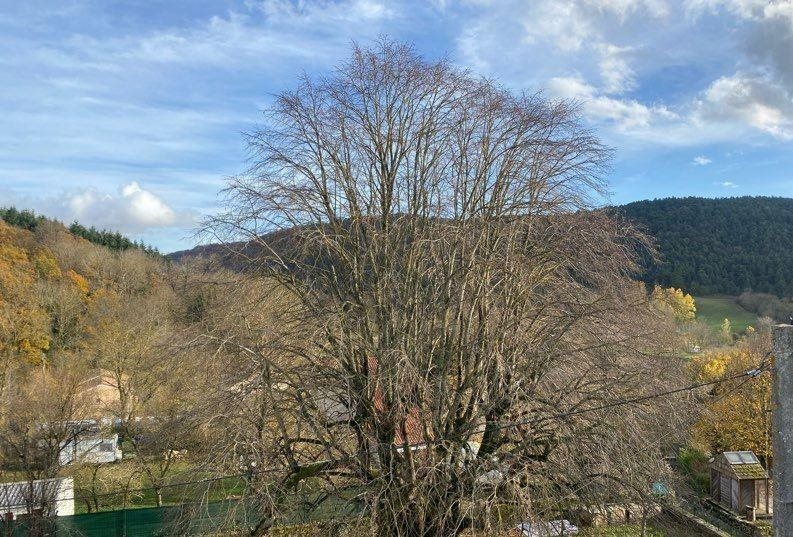 Maison à vendre, 102m², Sauclières