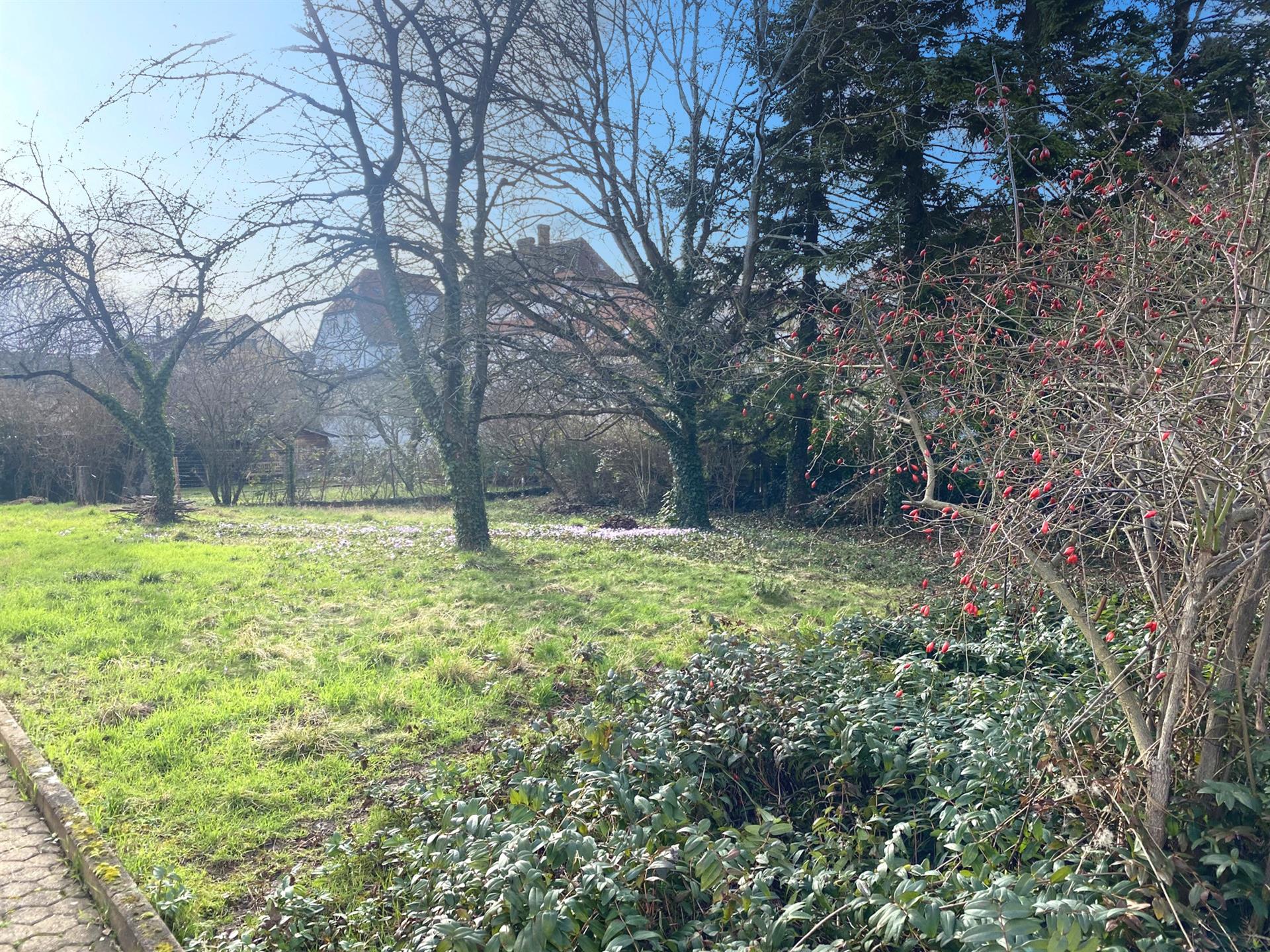Land 478 M2 Residential Area