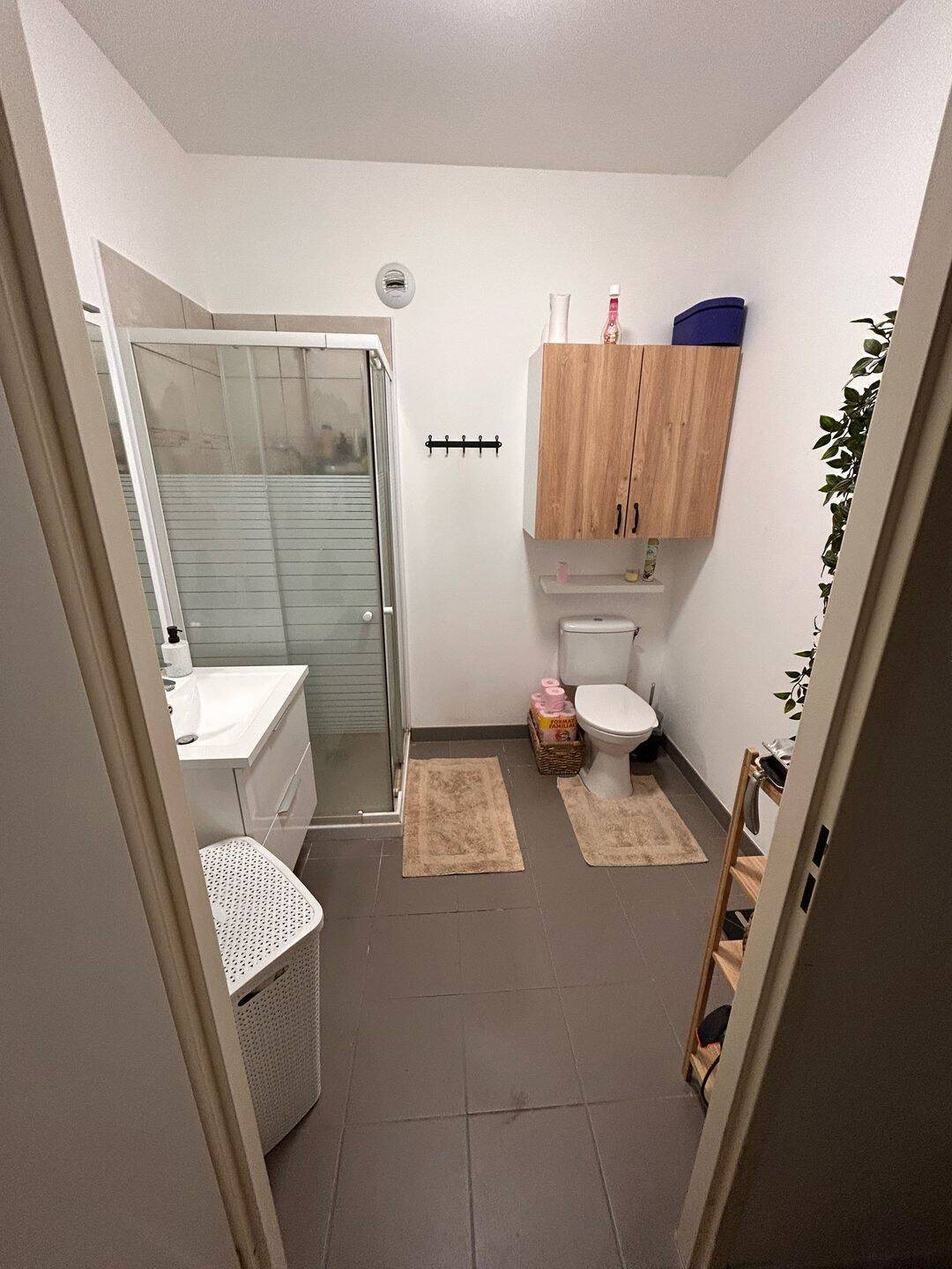 Appartement à louer, 50m², Beaumont-sur-Oise