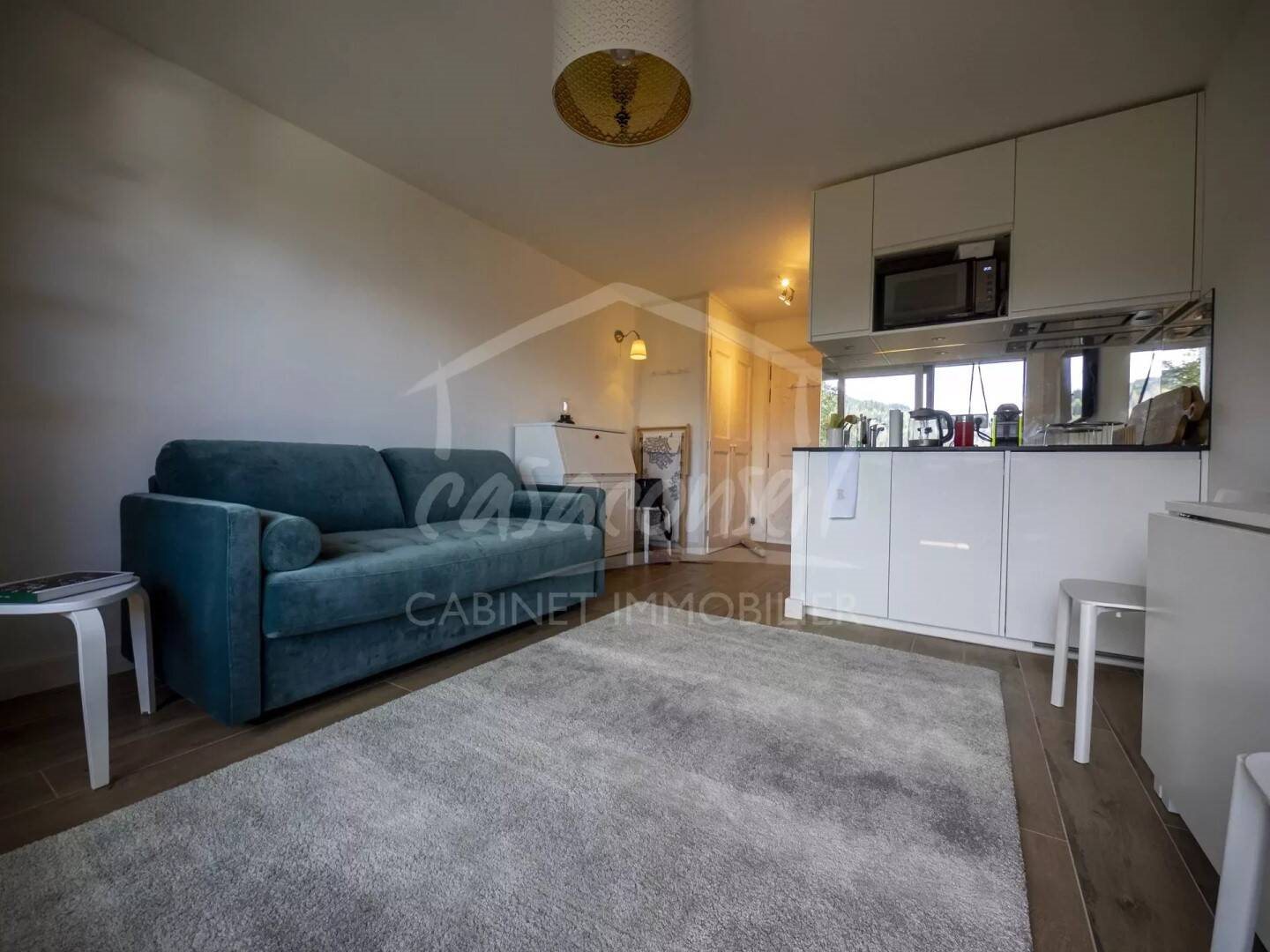 Appartement à vendre, 18m², Cordon